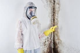 Best Comprehensive Air Testing for Mold Contaminants  in Wilkesboro, NC